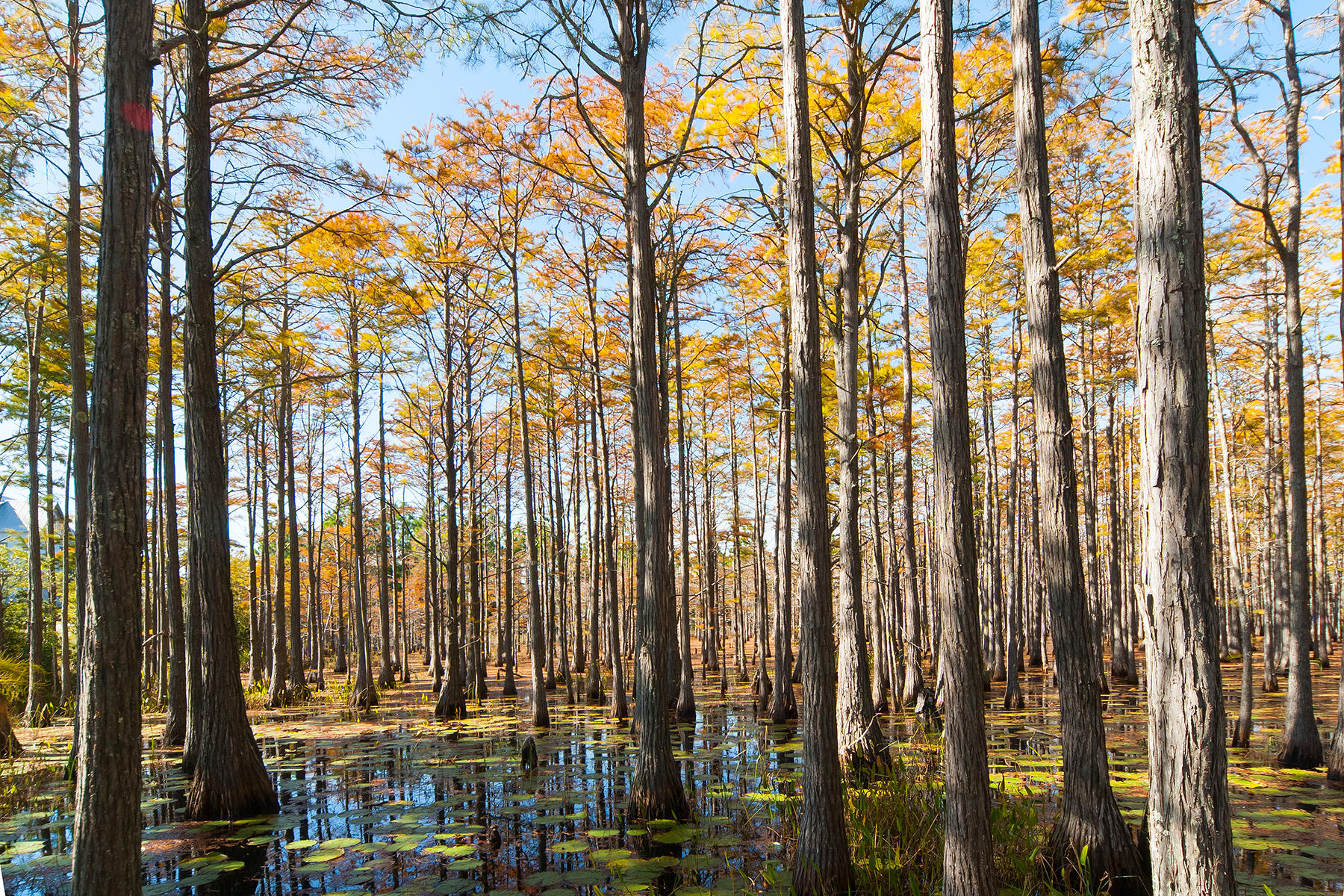 CYPRESS DUNES - Land