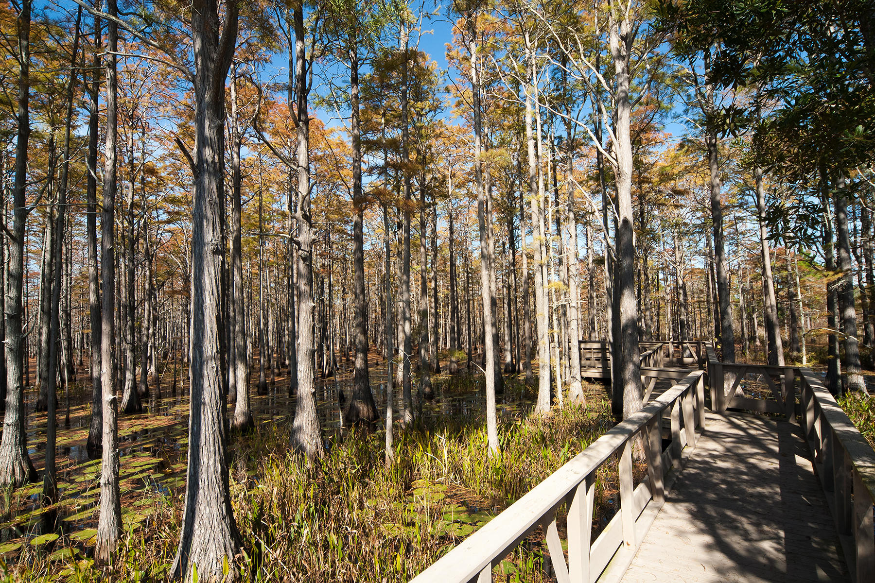 CYPRESS DUNES - Land