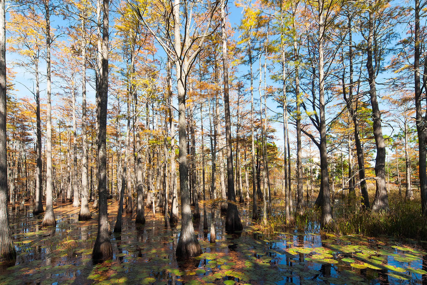 CYPRESS DUNES - Land