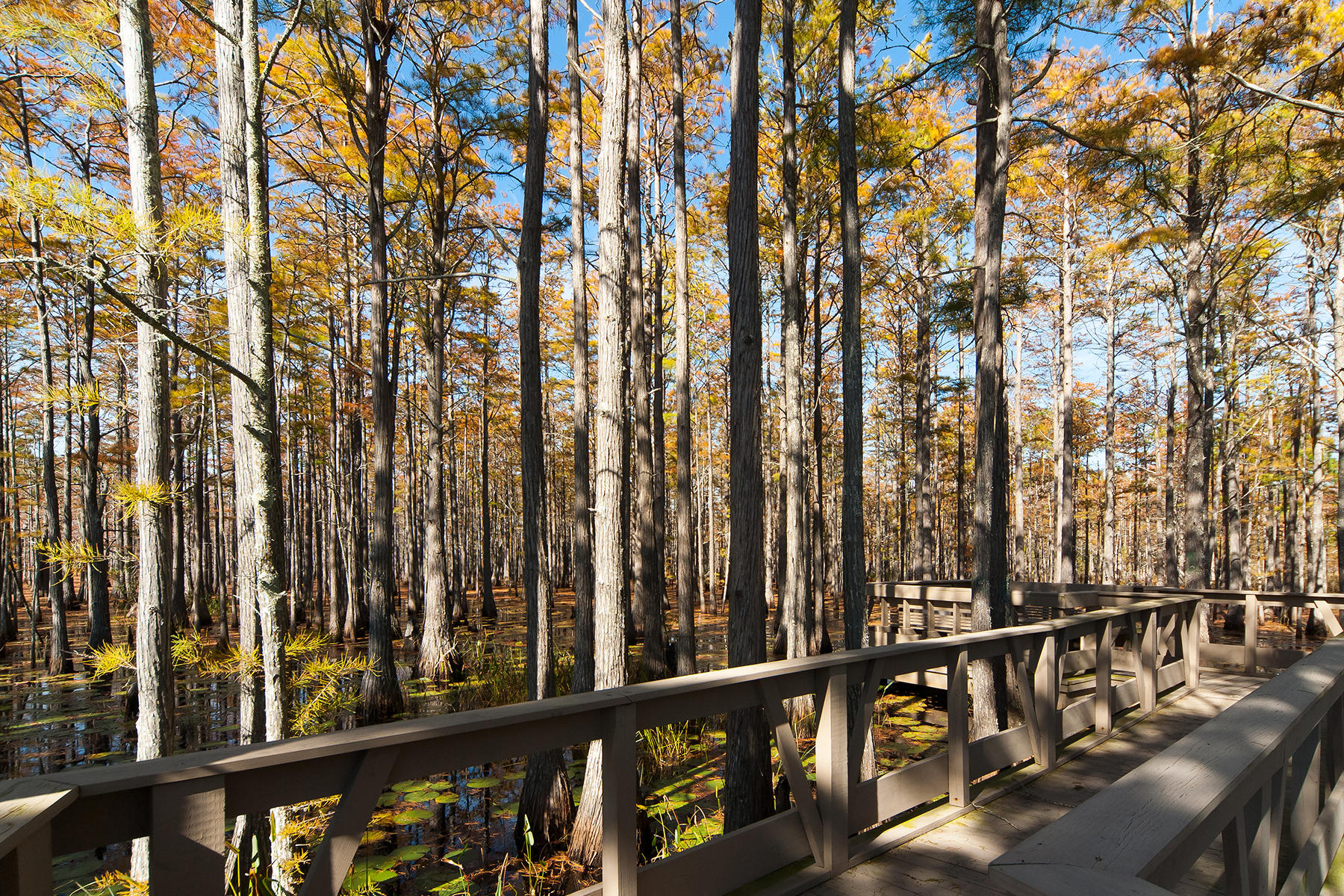 CYPRESS DUNES - Land
