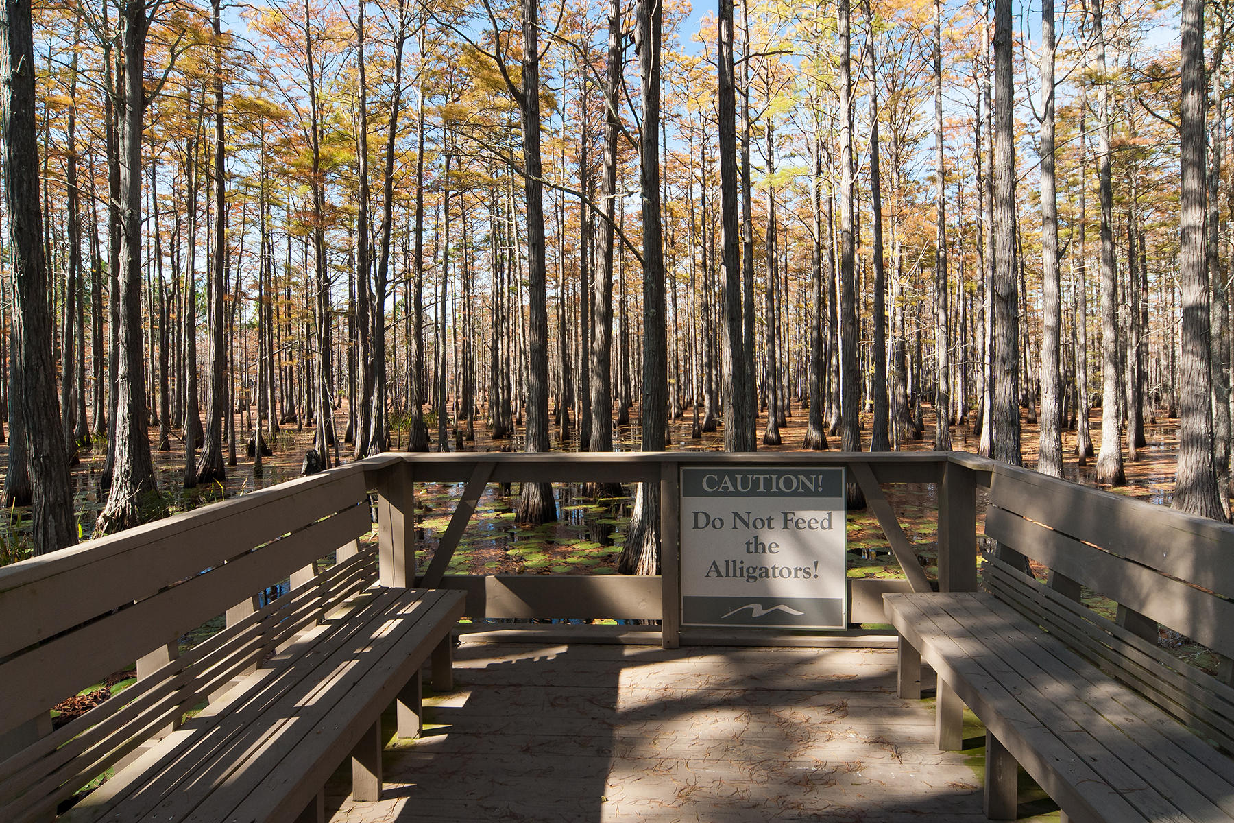 CYPRESS DUNES - Land