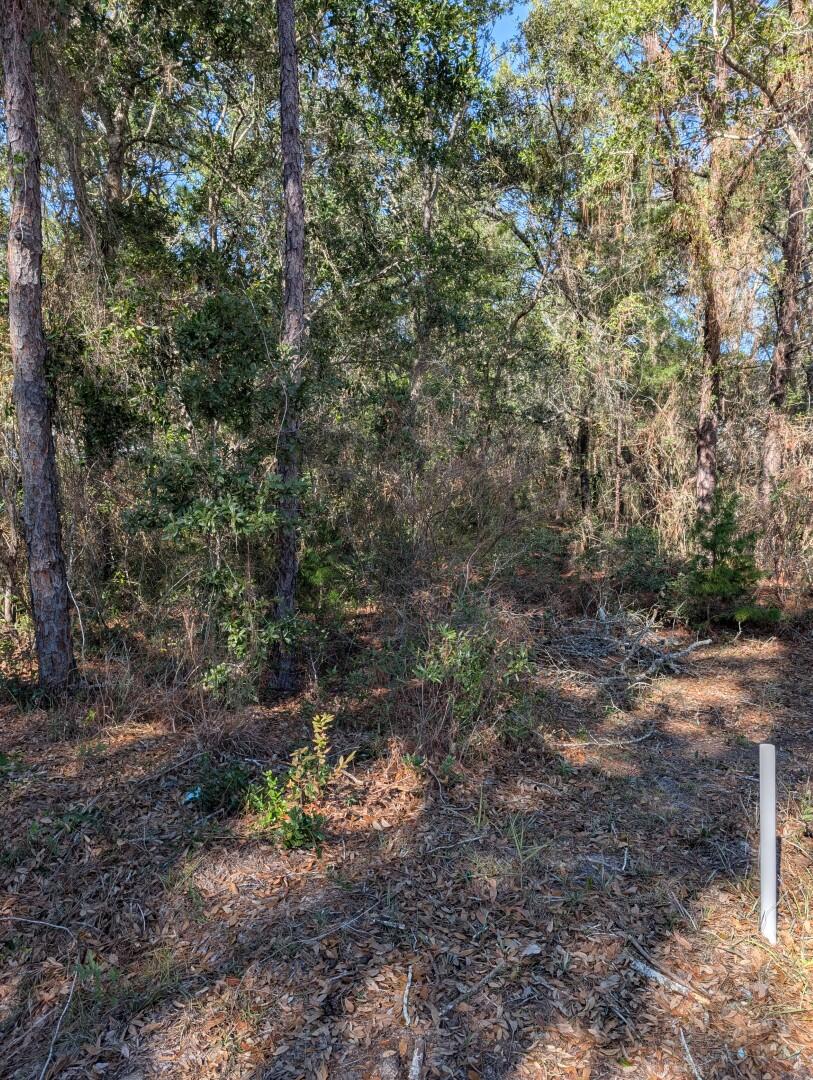 CHOCTAWHATCHEE BEACH - Land