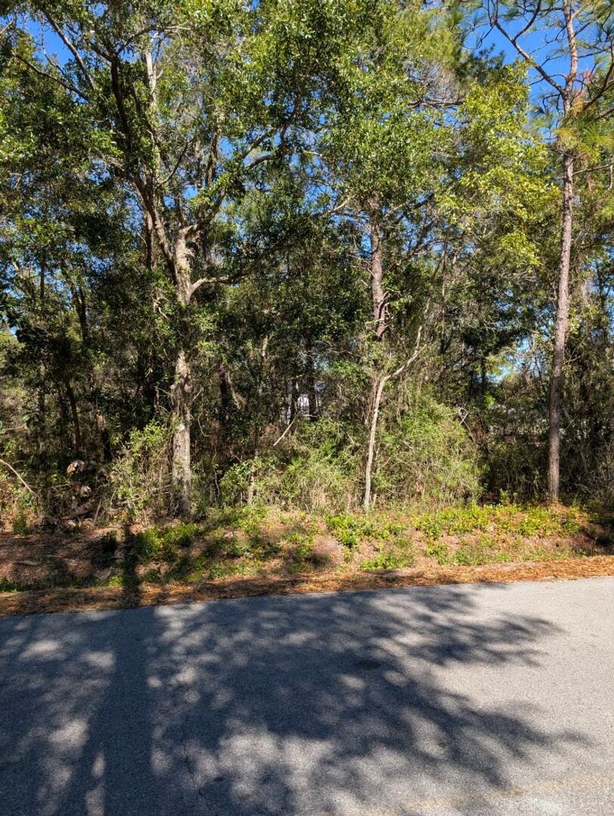 This incredible quarter-acre wooded lot, measuring 75'x150', is situated in sought-after Point Washington, just 4 miles away from the stunning Grayton Beach. Nestled in a quiet neighborhood with paved streets, this prime location offers the perfect balance of tranquility and convenience. Immerse yourself in the natural beauty that surrounds you, with the Choctawhatchee Bay only a few streets away, providing endless opportunities for outdoor adventures. With this spacious lot, you have the ideal canvas to create your dream beach retreat. Let your imagination run wild as you design your custom-built oasis, where every detail reflects your personal style and preferences. Act now and make your dreams a reality by seizing this fantastic investment.