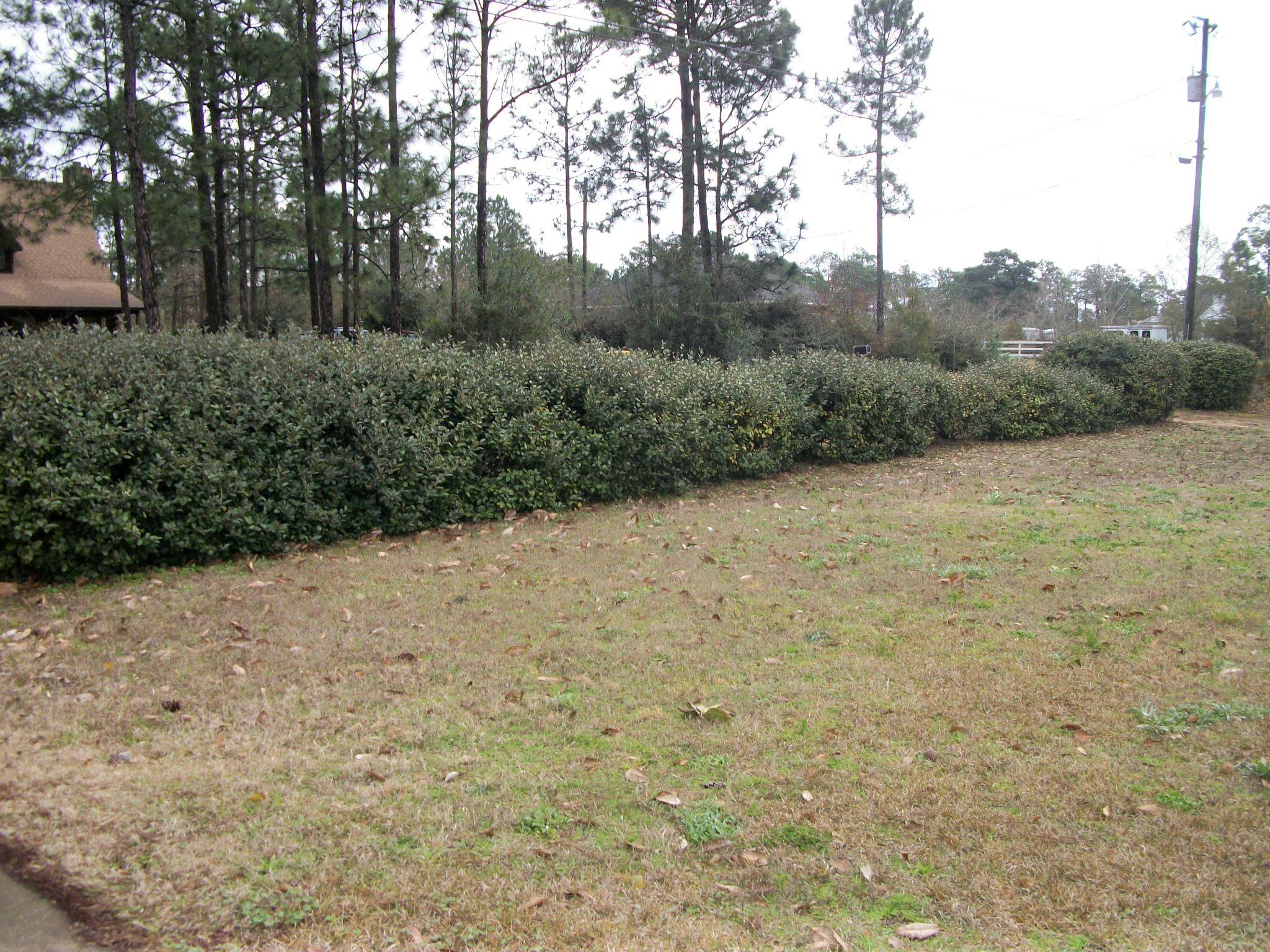 EAST BAY RIVER ESTATES - Residential Lease