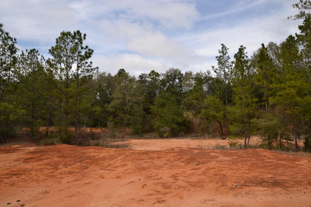 East Chestnut Addition - Land