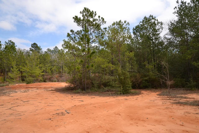 East Chestnut Addition - Land