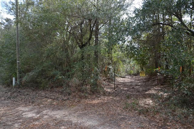 East Chestnut Addition - Land