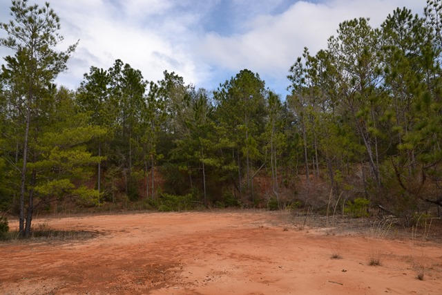 East Chestnut Addition - Land