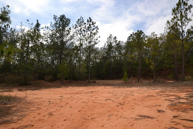 East Chestnut Addition - Land