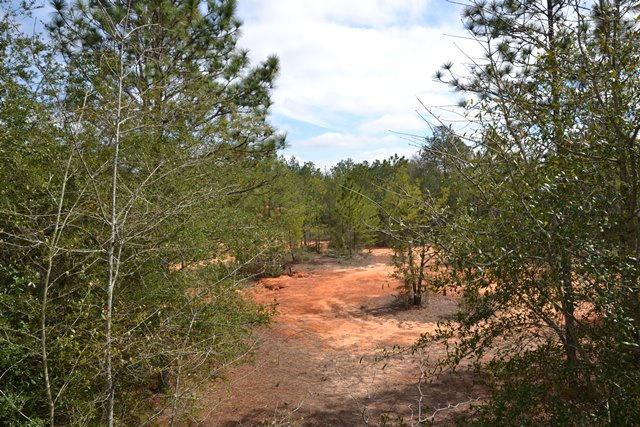 East Chestnut Addition - Land