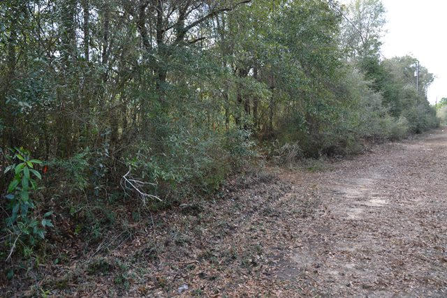 East Chestnut Addition - Land