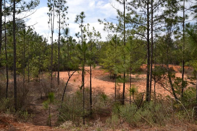 East Chestnut Addition - Land