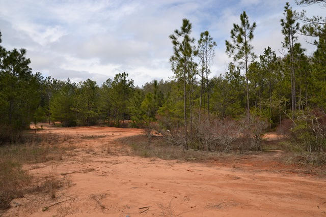 East Chestnut Addition - Land