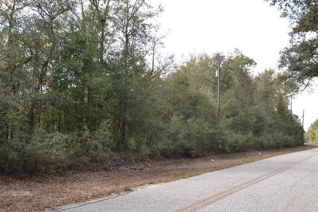 3.37 Acres on East Chestnut Ave. Enjoy your wooded privacy while being close to town and schools. County zoning, and no city taxes! Check out the many pictures!