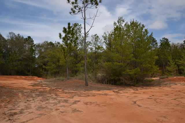 East Chestnut Addition - Land