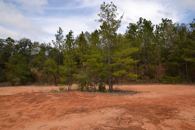 East Chestnut Addition - Land