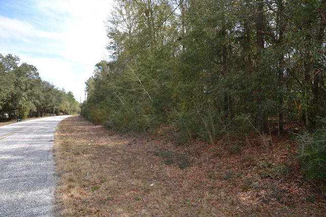 East Chestnut Addition - Land