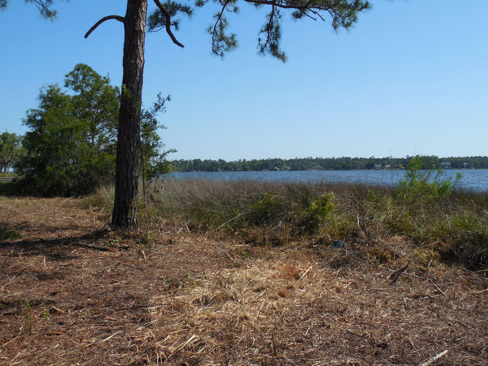 Rare opportunity to purchase over an acre of waterfront property south of I10! Enjoy the laid back country setting with a very quick and easy commute into the city of Pensacola. 110 feet of water frontage right on Blackwater Bay, bring your boat and enjoy some of the best fishing around!