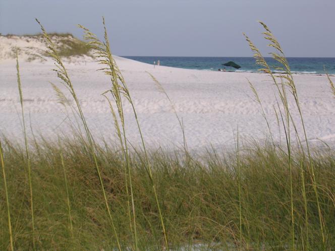 GREENWAY PARK - Residential