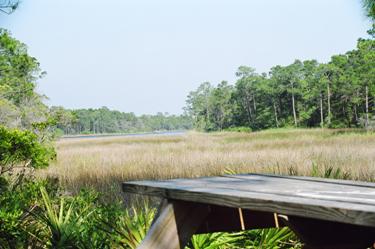 GREENWAY PARK - Residential