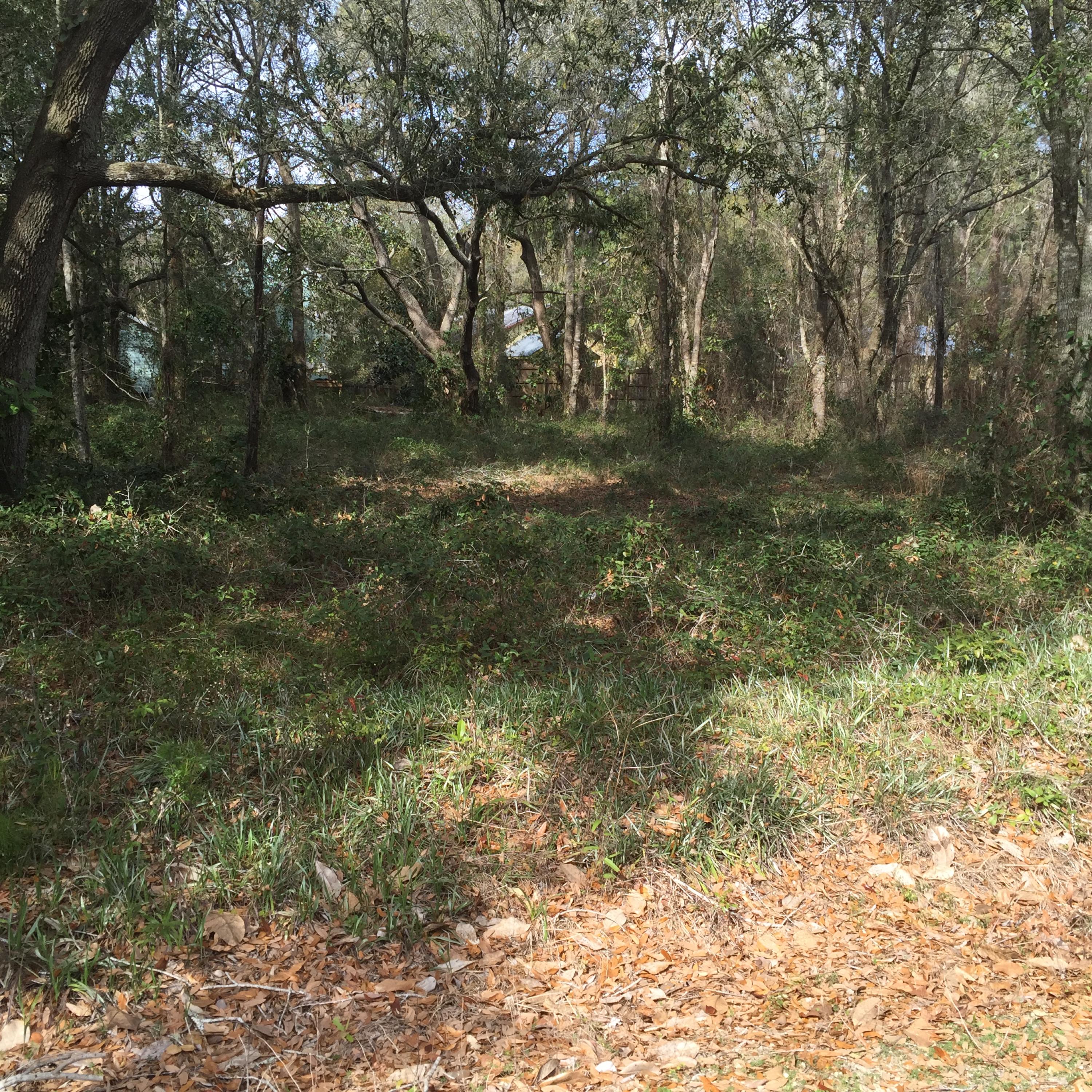 DAUGHETTES AMENDED - Land