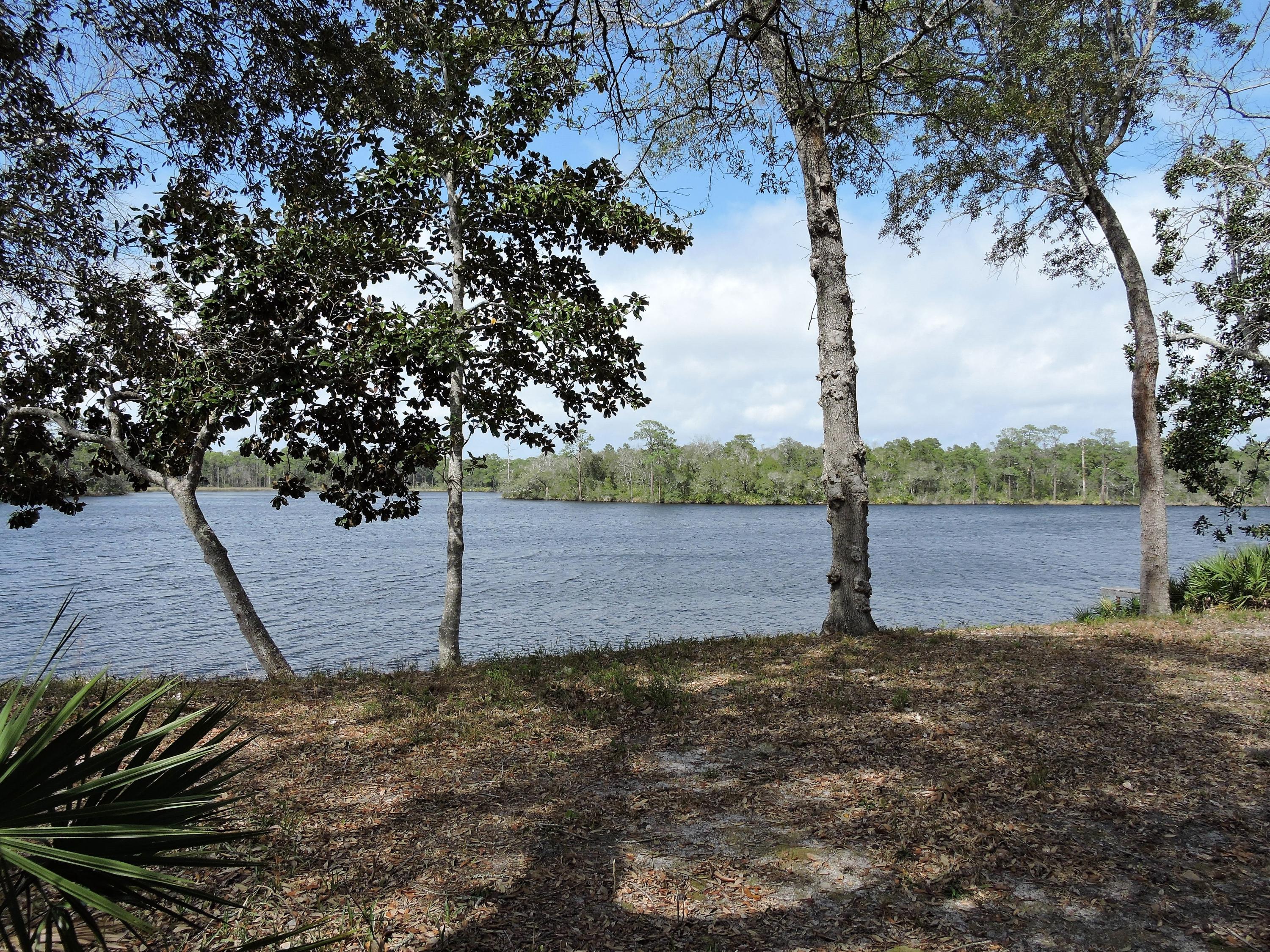 LAKE PIPPIN - Residential