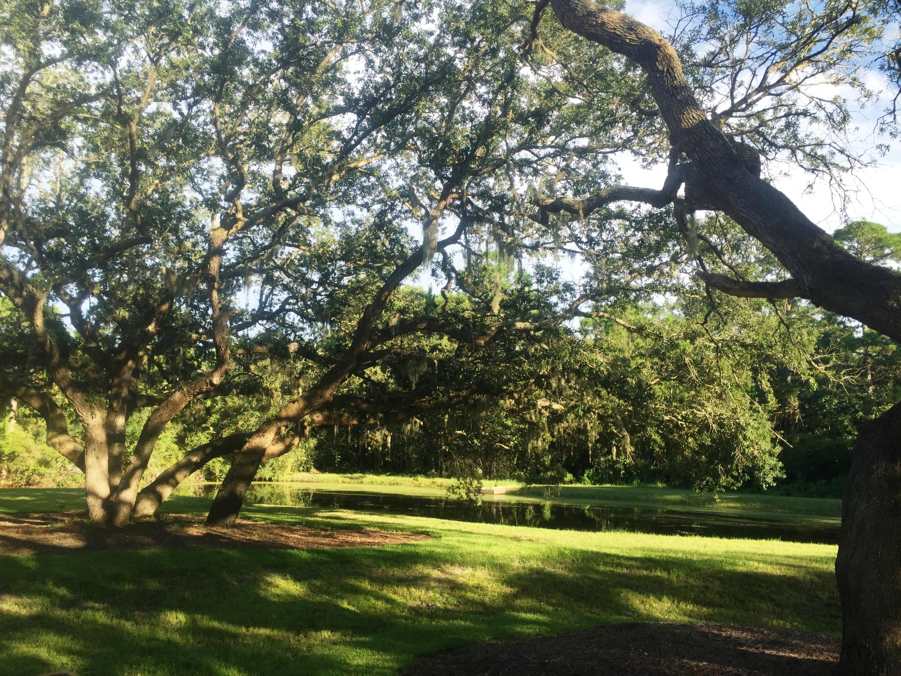 CARSON OAKS - Residential