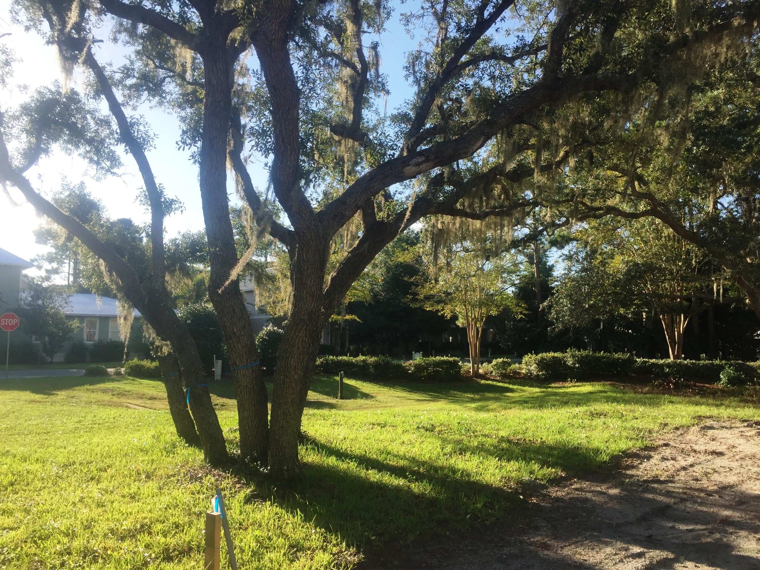 CARSON OAKS - Residential