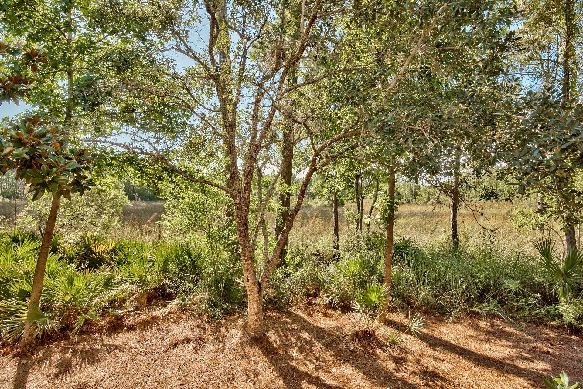 BURNT PINE - Residential