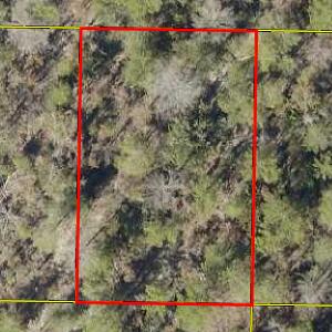 Great Buildable lot in the fast growing Mossy Head community. Buyer to verify all information and perform due diligence.