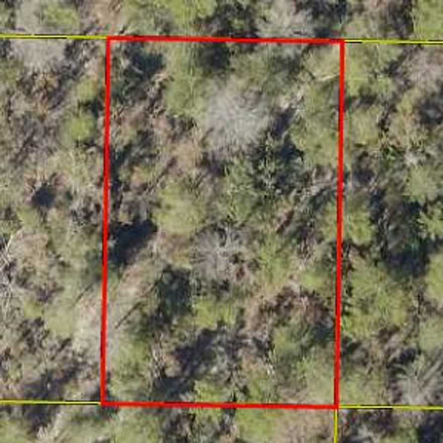 Great Buildable lot in the fast growing Mossy Head community.  Buyer to verify all information and perform due diligence.
