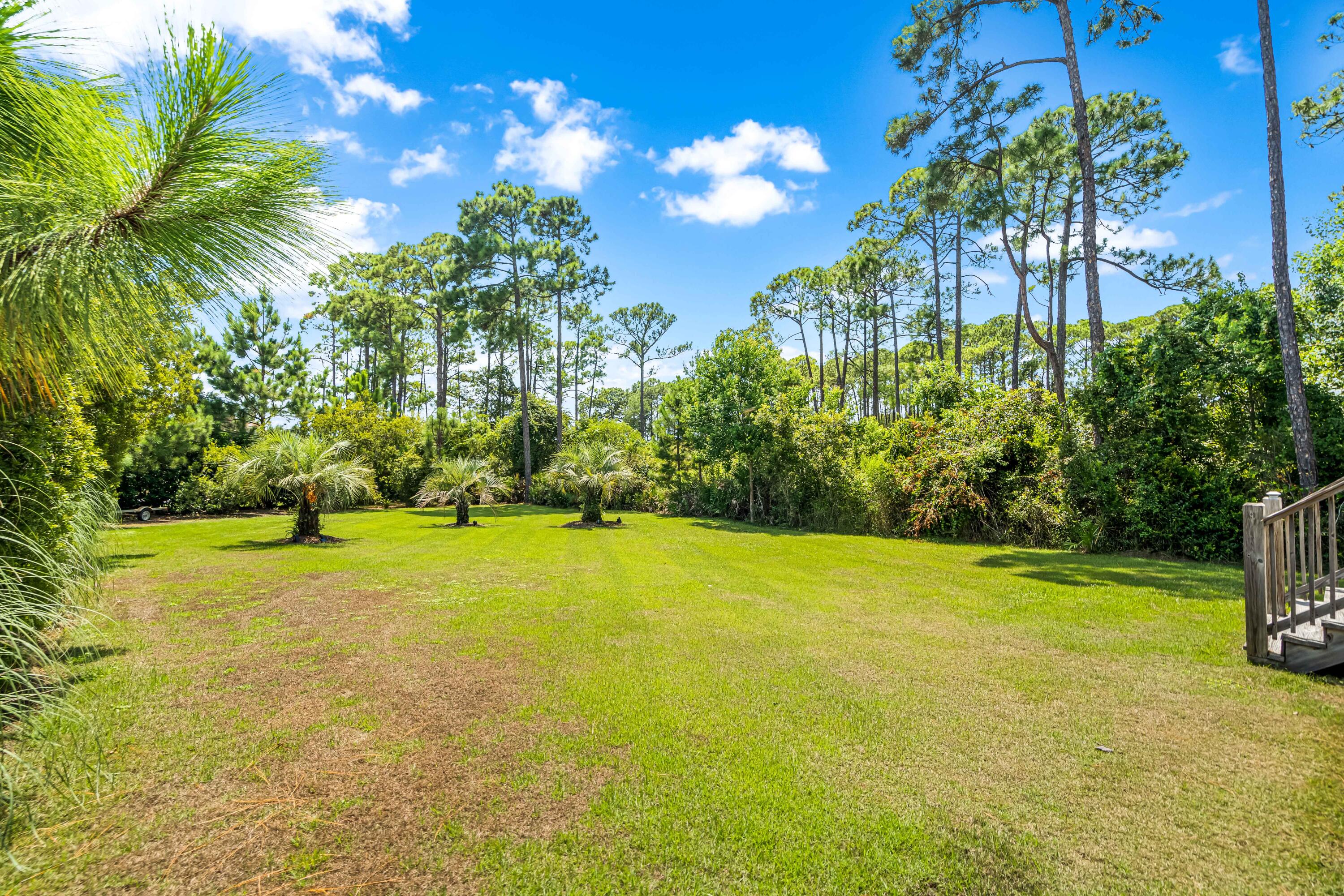 Walton Way - Residential