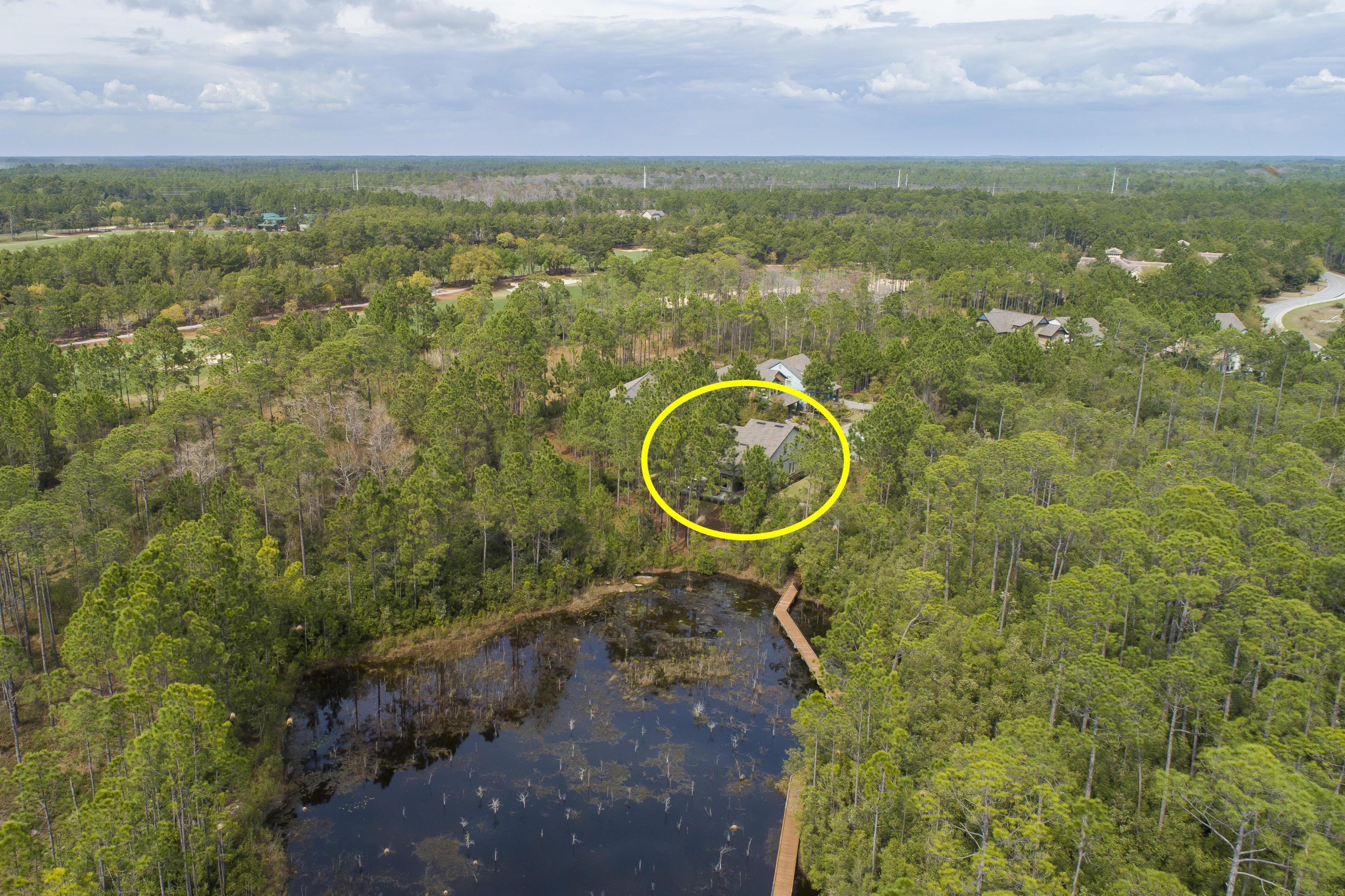 Wild Heron - Residential