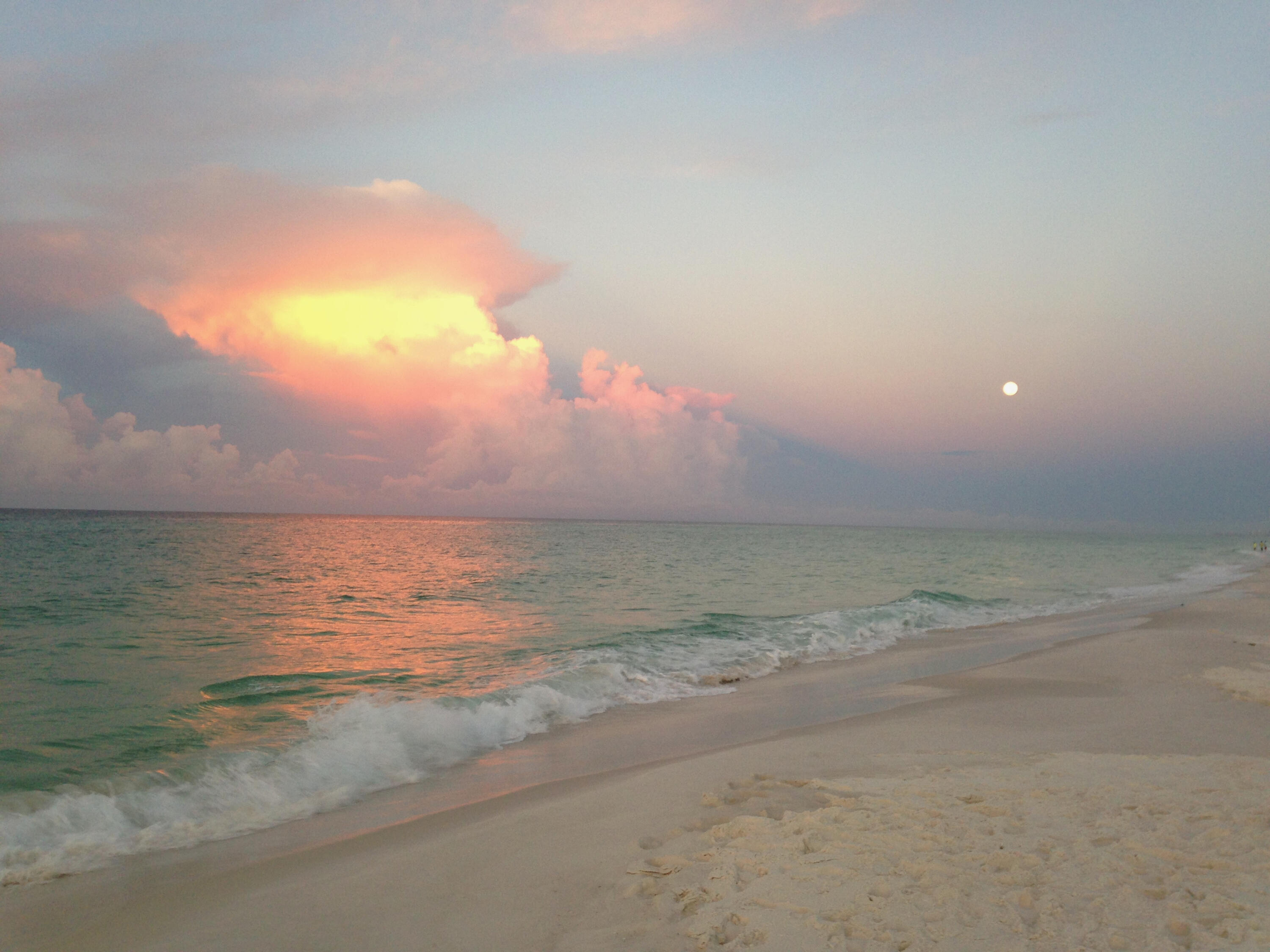 PALM COURT YACHT CLUB - Residential