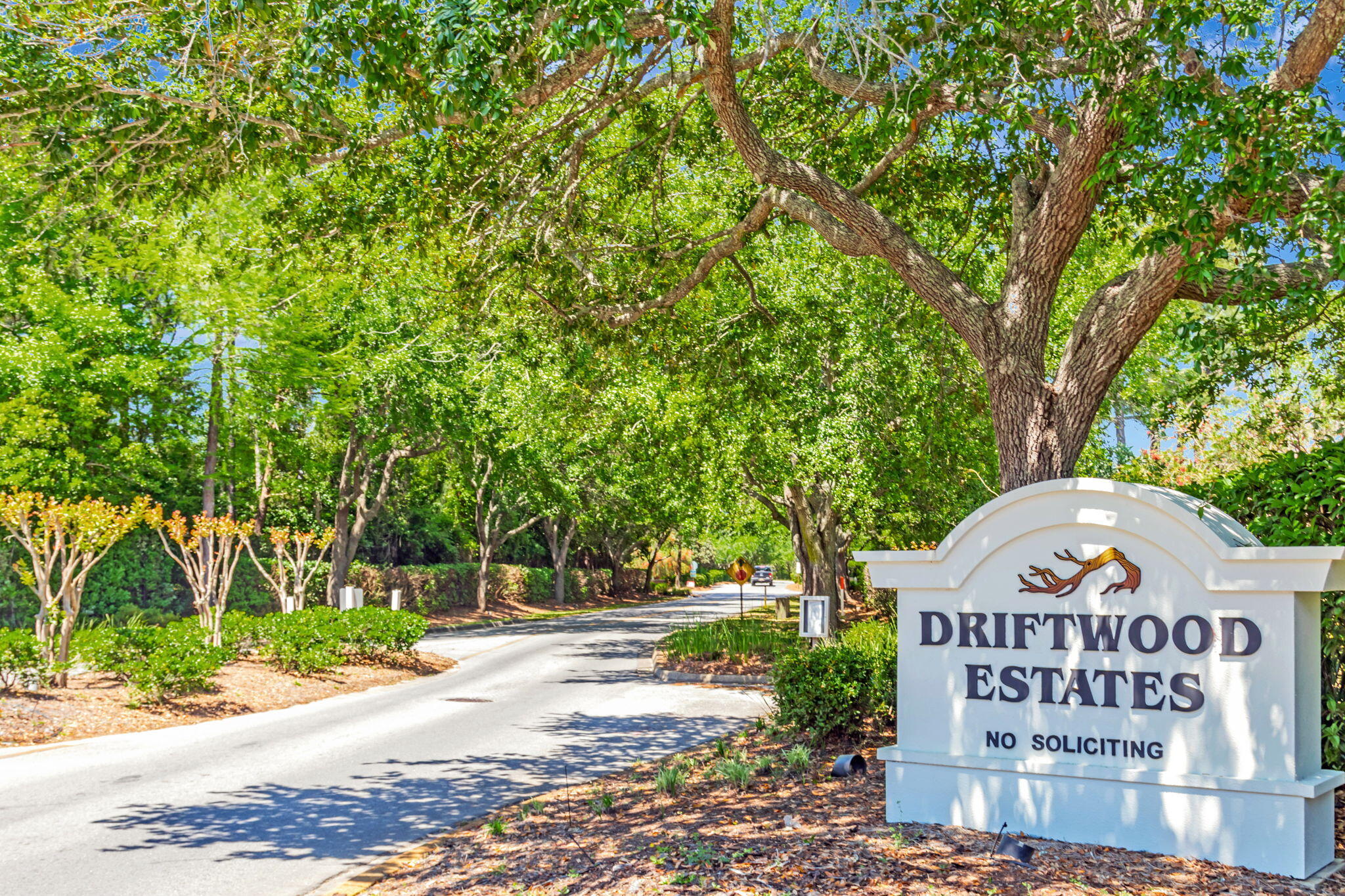 DRIFTWOOD ESTATES - Residential