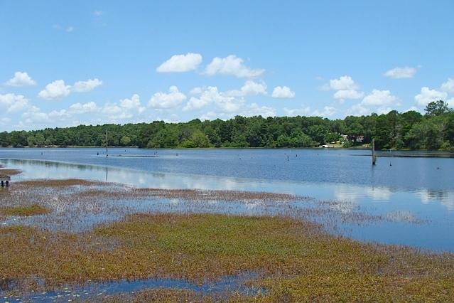 Juniper Hills S/D Unit 1 - Residential