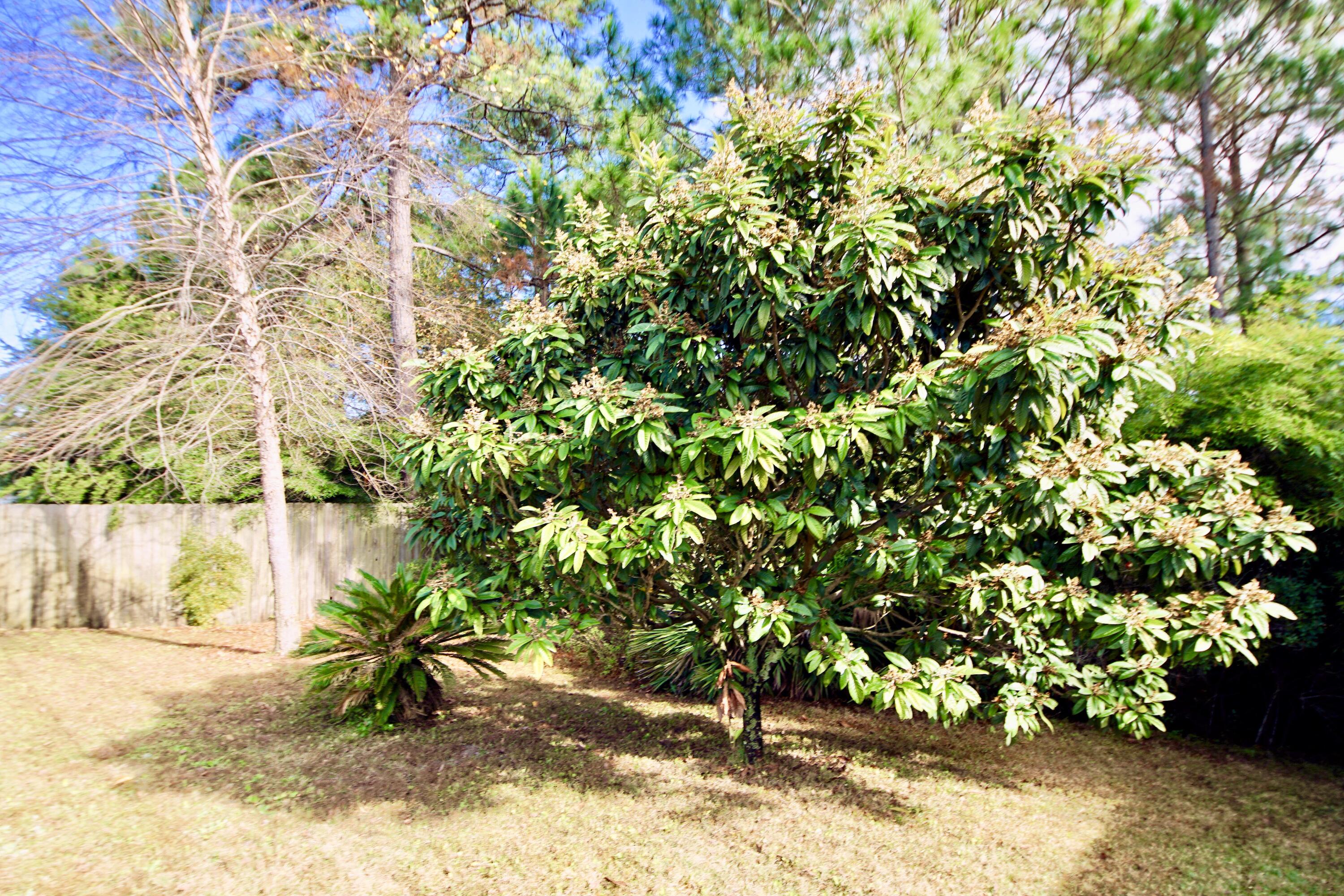 HIDDEN SHORES - Residential