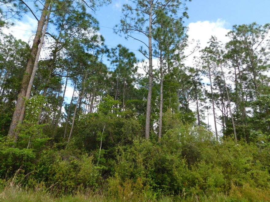 GREAT OPPORTUNITY TO OWN A BEAUTIFUL AND AFFORDABLE LOT in Santa Rosa Beach, FL. Located just 1/2 mile to US Hwy 98. Only 3 miles to the word renown white sugary beaches of the Florida Emerald Coast, this lot could be a nice site for your residence, a beach vacation home, or an income producing property. NO HOA. Short term rental allowed. The adjoining 4 lots are available for sale. See MLS 821063, 821064 and 821065.