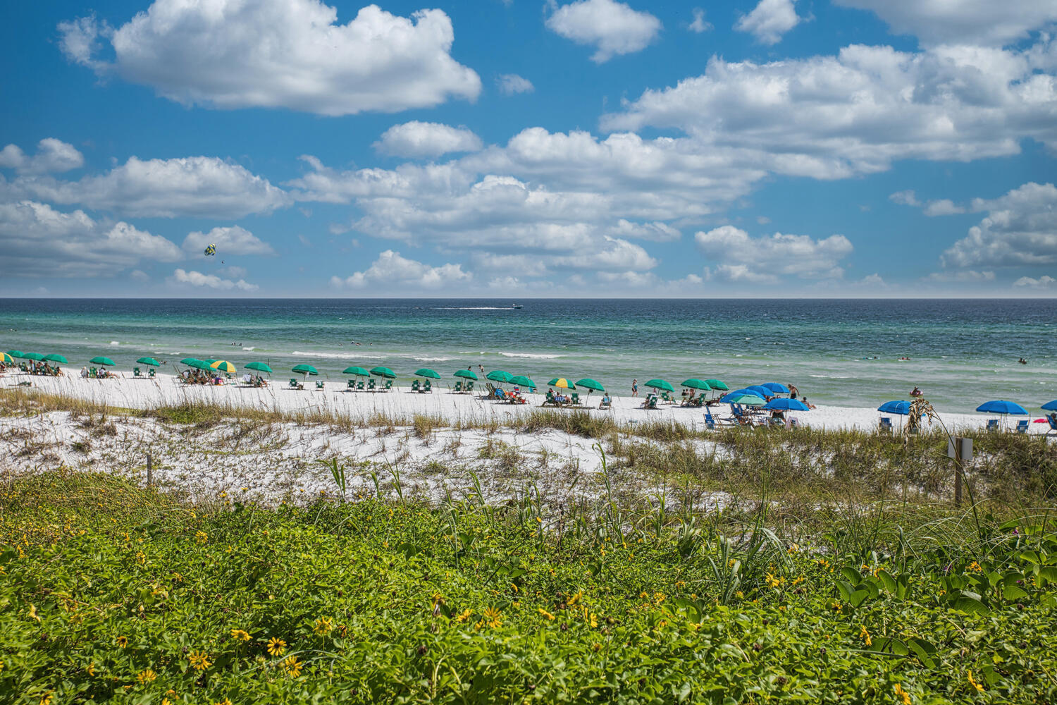 PARADISE RETREAT - Residential