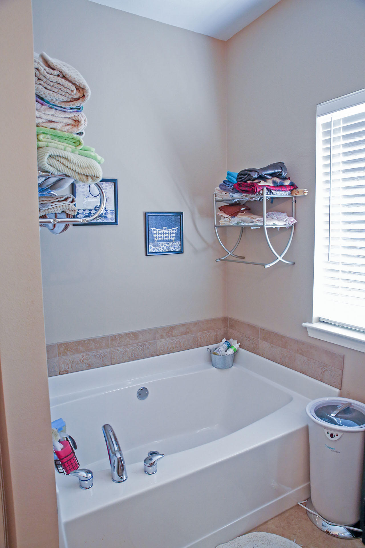 OLDE FLORIDA LAKES - Residential