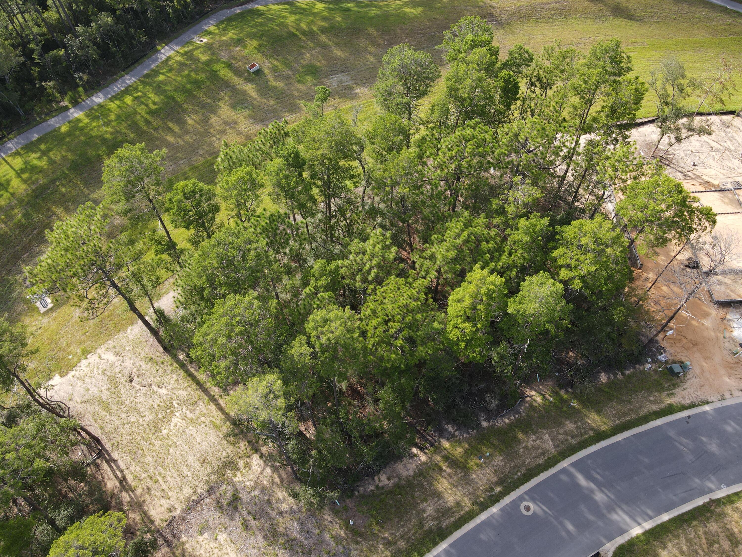 Deer Moss Creek - Land