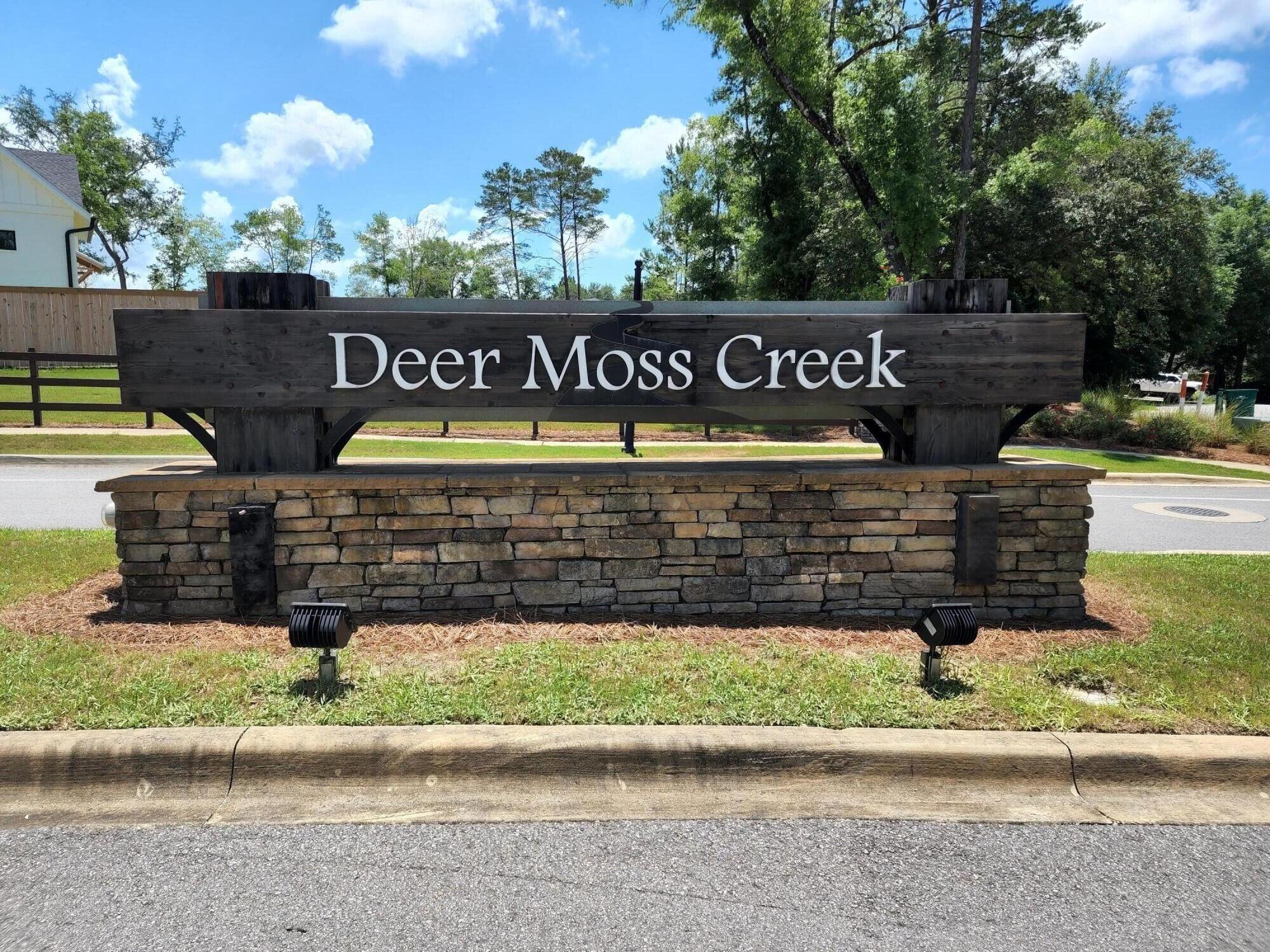 Deer Moss Creek - Land