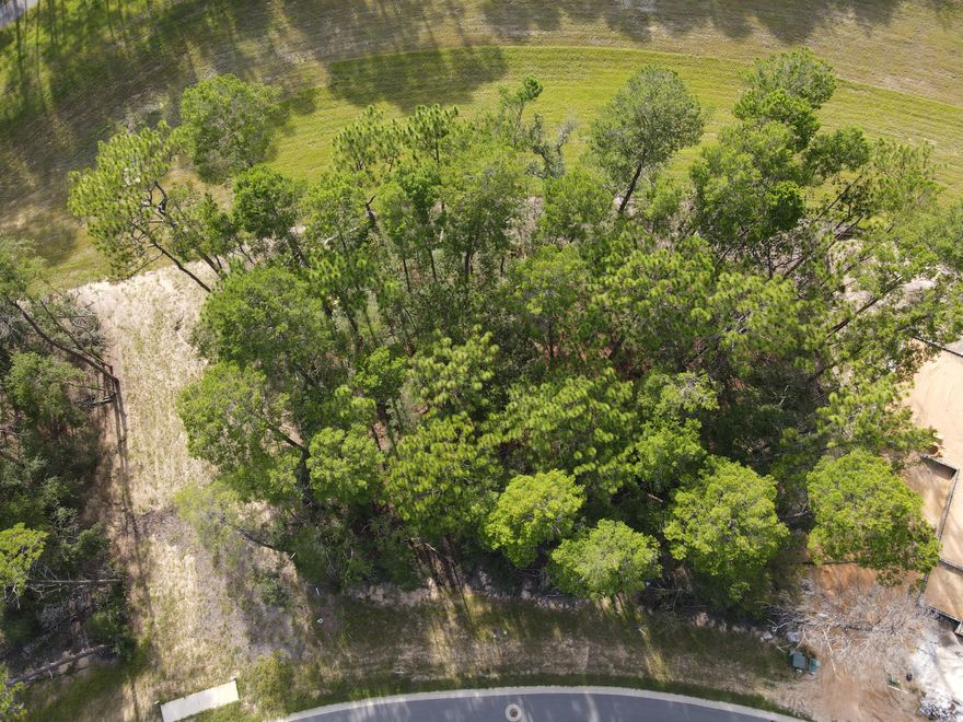 Amazing sunrise and sunsets from the high ground on this lot!  Great building lot in Deer Moss Creek! Located on Caraway Drive, this lot provides views of the Florida sunsets and woods with a creek. Future Amenities to include a pool, clubhouse, basketball court, underground utilities and playground. Deer Moss Creek is a short commute to Destin beaches, Eglin and airports.