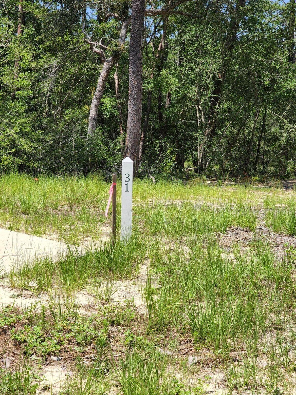 Deer Moss Creek - Land