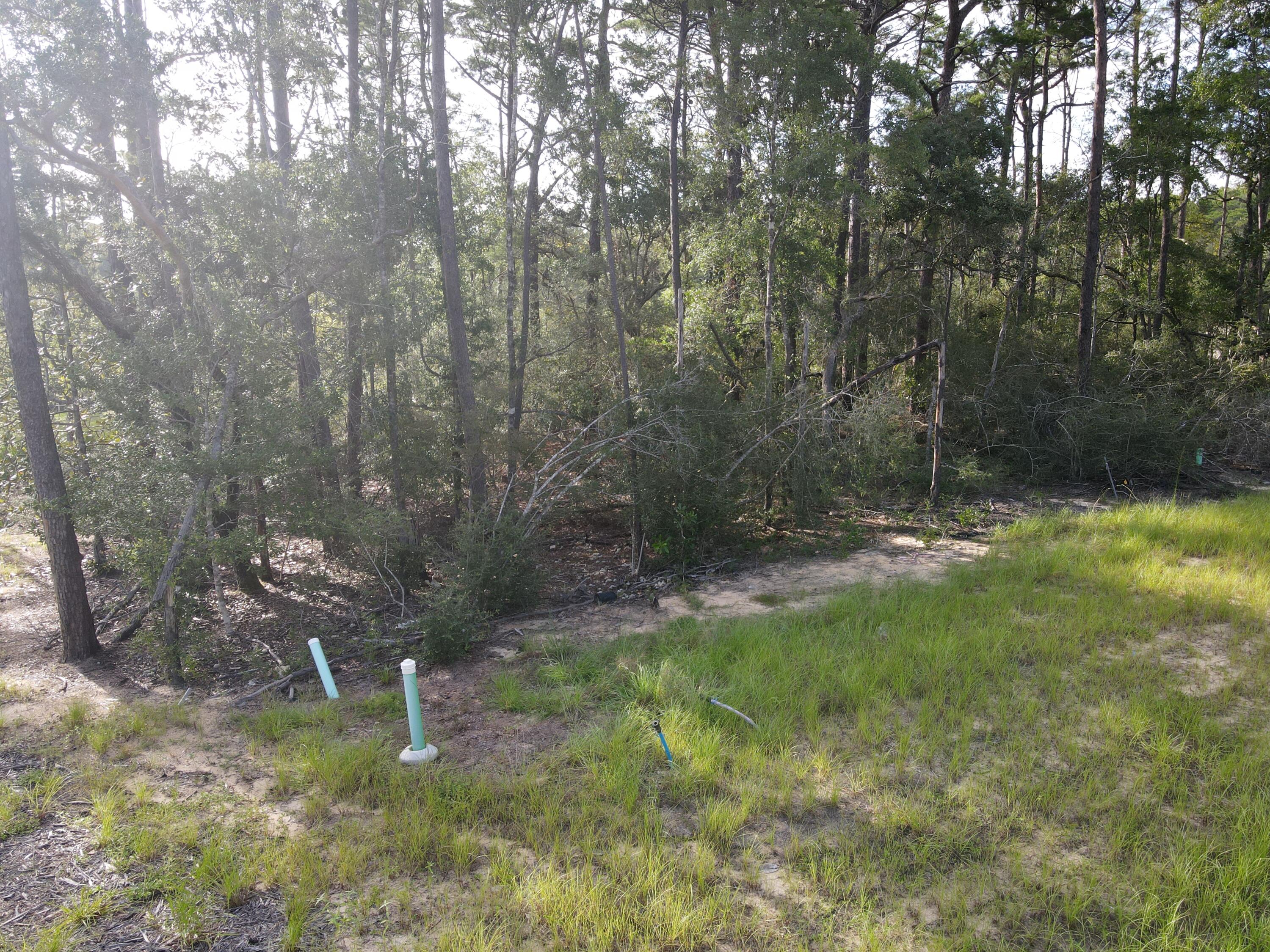 Deer Moss Creek - Land