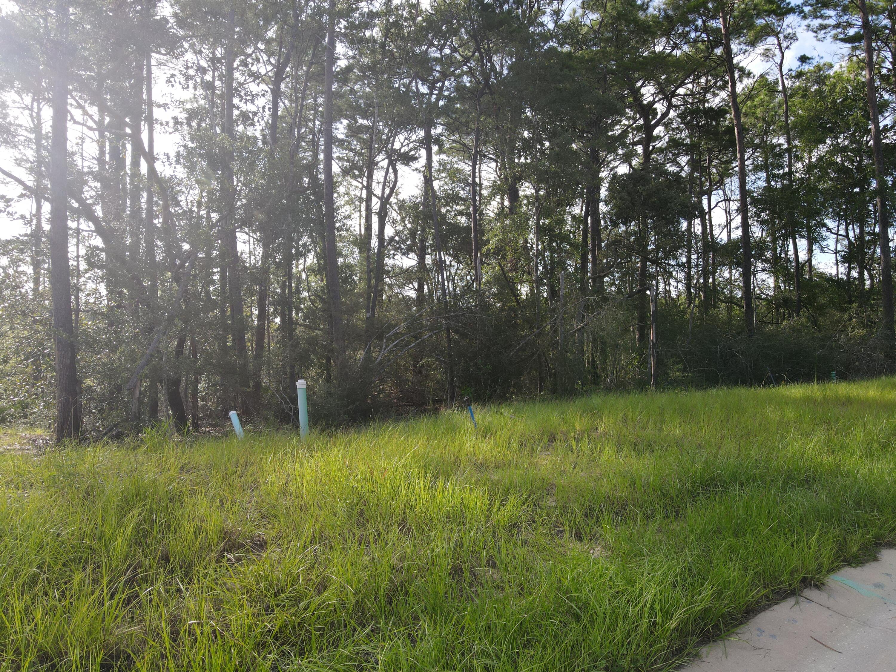 Deer Moss Creek - Land