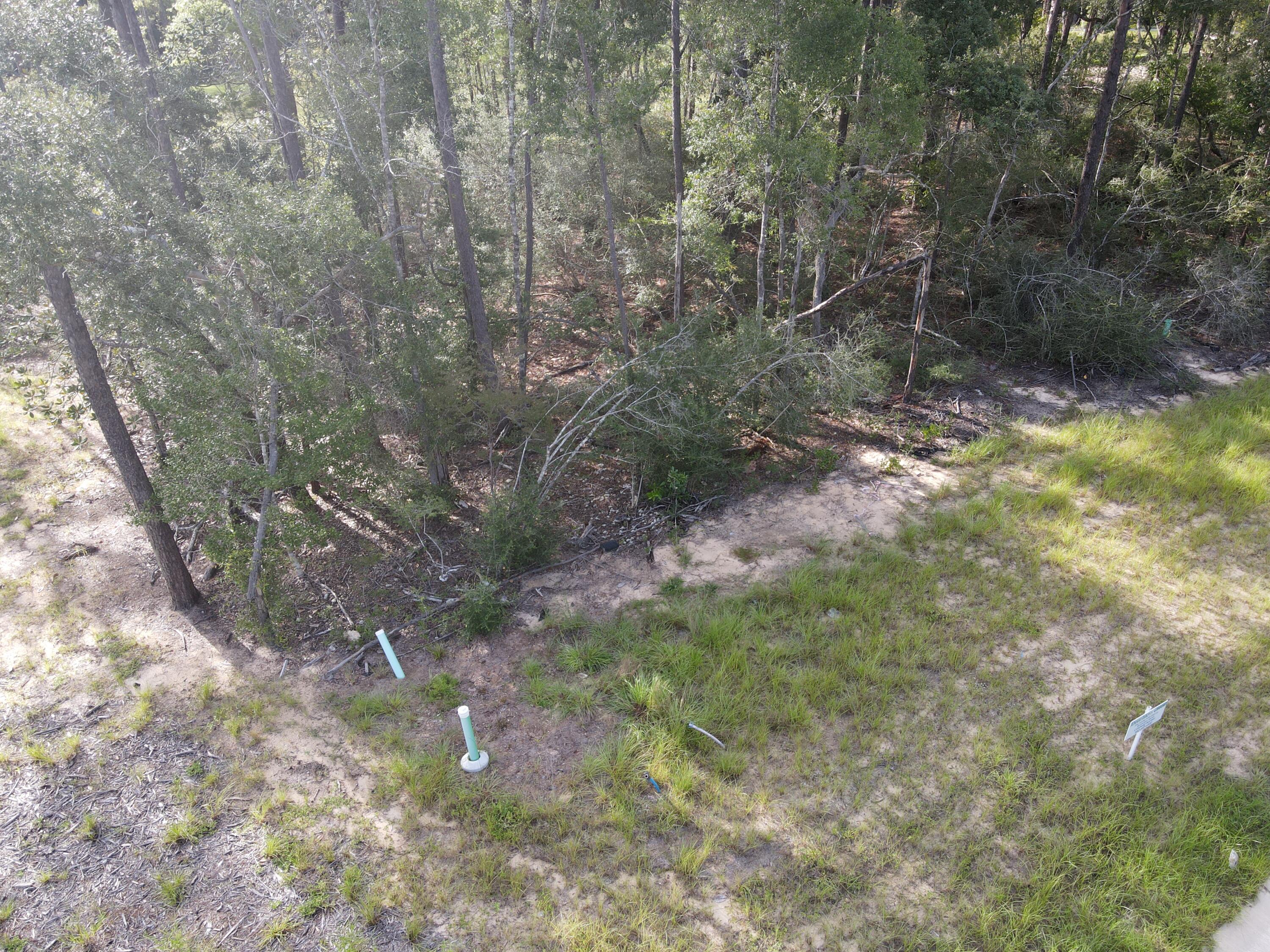 Deer Moss Creek - Land