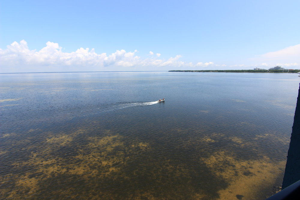 BAYSIDE CONDO SANDESTIN - Residential