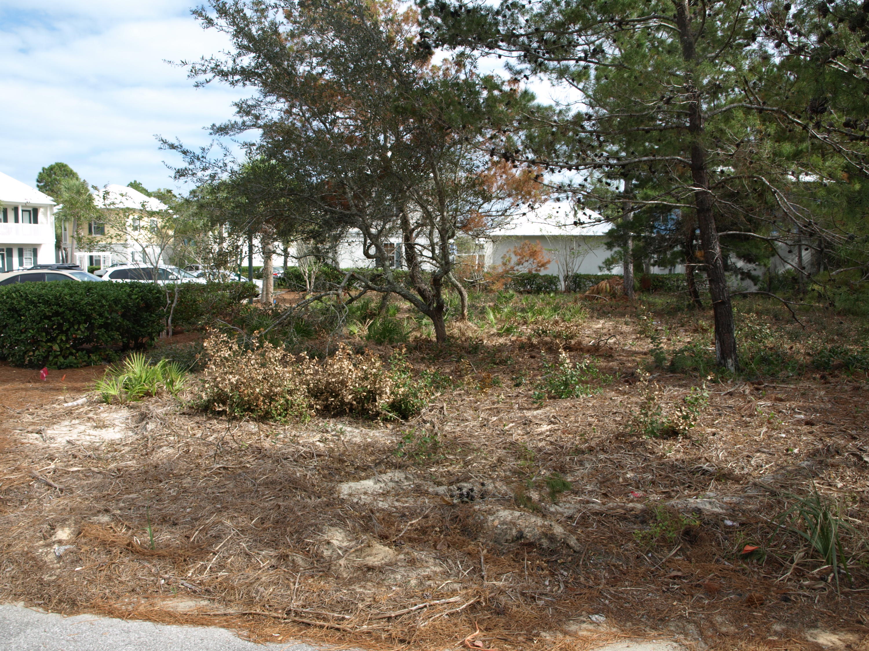 SOMERSET BRIDGE AT SEAGROVE - Land