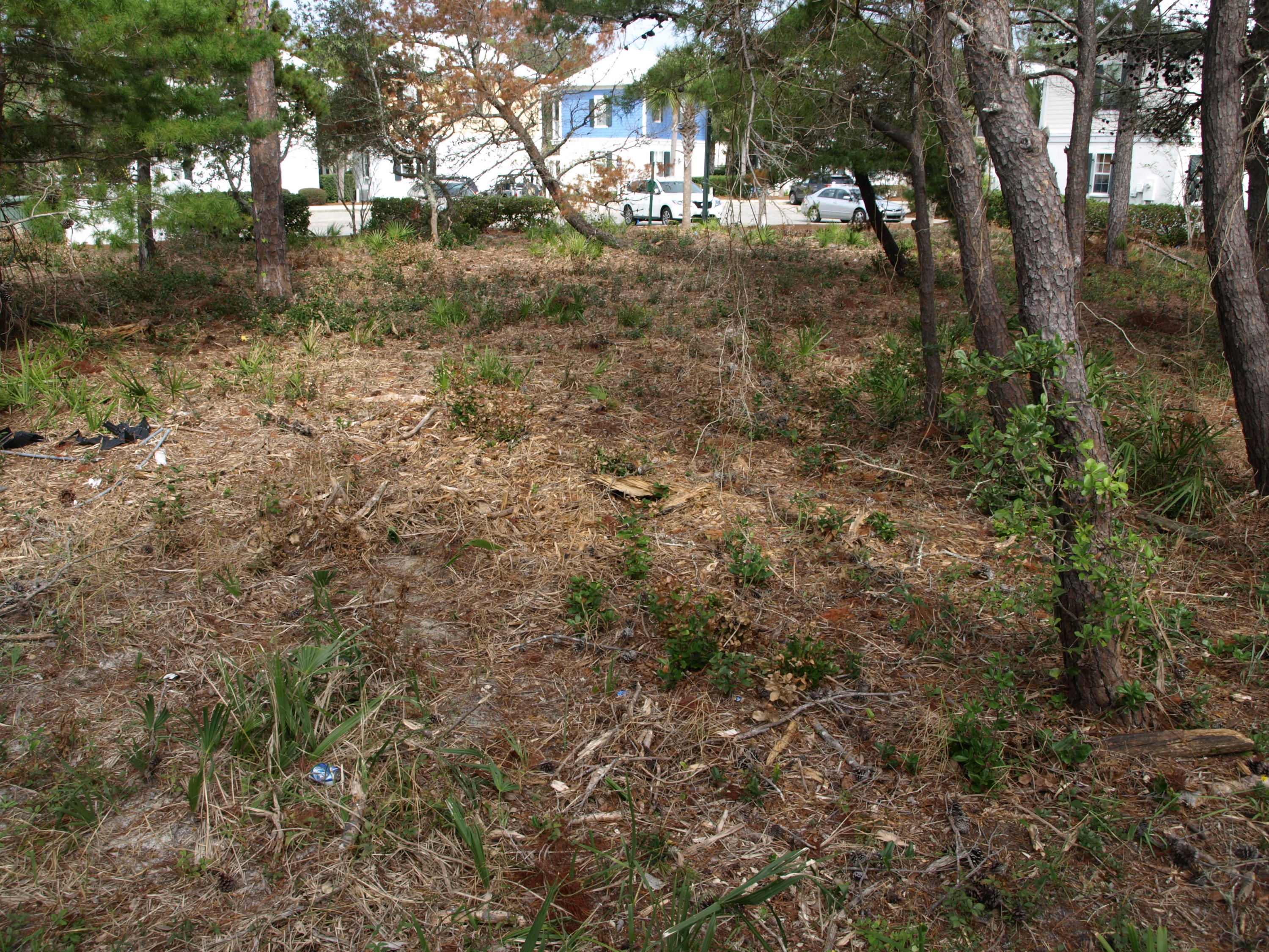 SOMERSET BRIDGE AT SEAGROVE - Land